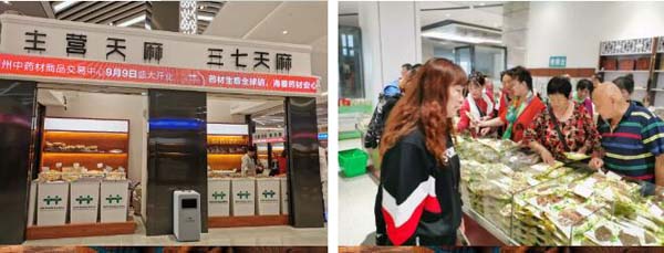 1576559417 首页| suncitygroup太阳集团中国官方网站