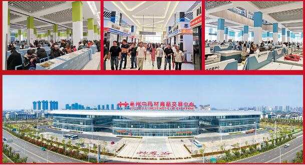 首页| suncitygroup太阳集团中国官方网站