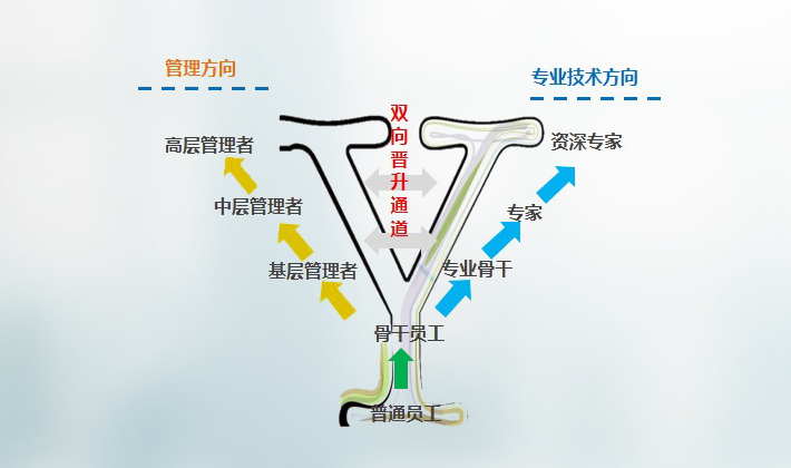 首页| suncitygroup太阳集团中国官方网站