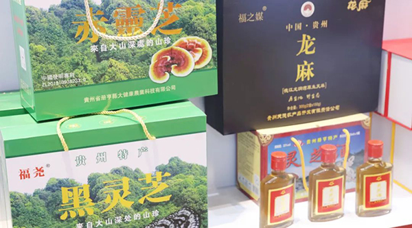 首页| suncitygroup太阳集团中国官方网站