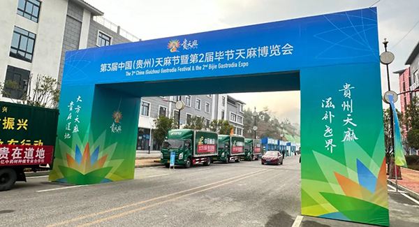 首页| suncitygroup太阳集团中国官方网站