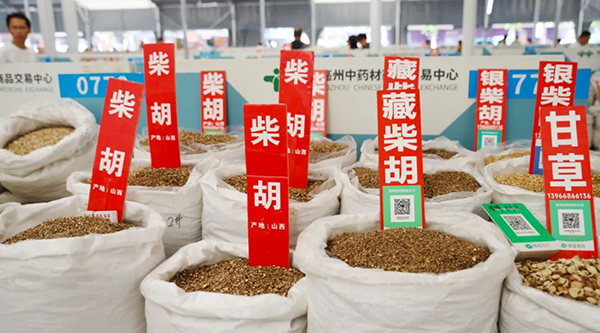 首页| suncitygroup太阳集团中国官方网站