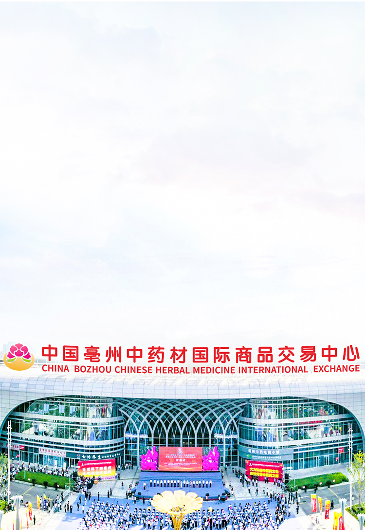 首页| suncitygroup太阳集团中国官方网站