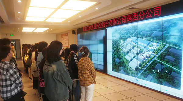首页| suncitygroup太阳集团中国官方网站