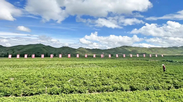 首页| suncitygroup太阳集团中国官方网站